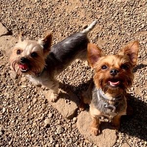 Meet your Posher, Erin